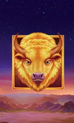 Buffalo's Sun 2